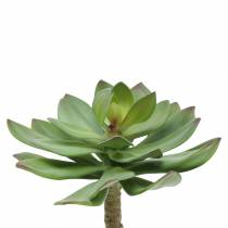 Succulent plant artificial green 27cm