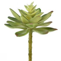 Product Artificial Succulents Artificial Plants Green Ø10cm 4 pcs
