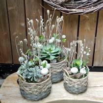 Product Artificial succulent green 27cm