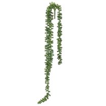 Product Artificial Hanging Succulent Garland – 80cm Long, Green