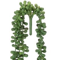 Product Artificial Succulent Hanging Garlands, 80 cm, Green, Indoor Decoration