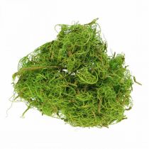Product Tamarind Fibre Light Green Natural Fibre for Crafting and Decorating 500g