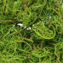Product Tamarind Fibre Light Green Natural Fibre for Crafting and Decorating 500g