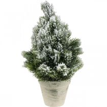 Mini Christmas tree in a pot artificially snowed Ø18cm H32cm