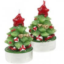 Tea lights Christmas tea light fir tree H6.5cm 6pcs
