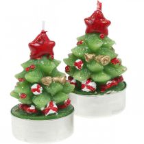 Product Tea lights Christmas tea light fir tree H6.5cm 6pcs