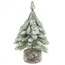 Fir tree with snow, Christmas decoration, decorative fir tree H14cm