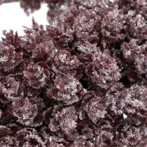 Pinecone wreath Ø25cm Burgundy iced