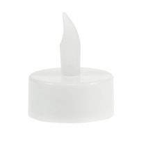 Product LED tea lights with battery Ø4cm for indoor use 6 pcs