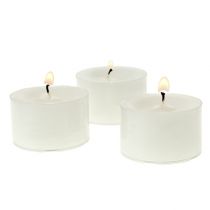 Tea lights white in plastic bowl 50pcs