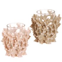 Product Tealight holder coral decoration maritime cream brown H9cm 2pcs
