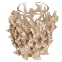 Product Tealight holder coral decoration maritime cream brown H9cm 2pcs