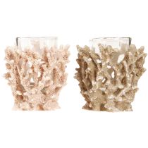 Product Tealight holder coral decoration maritime cream brown H9cm 2pcs