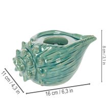 Product Tealight holder seashell decorative table candle bathroom living room 16cm