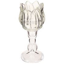 Product Tealight holder tulip tealight glass with base clear Ø7cm H16cm 2pcs