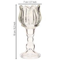 Product Tealight holder tulip tealight glass with base clear Ø7cm H16cm 2pcs