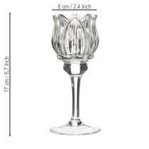 Product Glass tealight holder, decorative flower shape for a stylish ambience, 17cm
