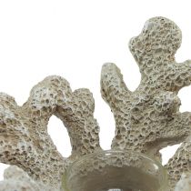 Product Tealight holder coral decoration maritime gray Ø12cm H8cm