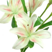 Tiger lily cream 60cm