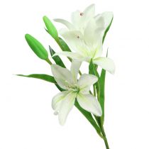 Lily white 58cm