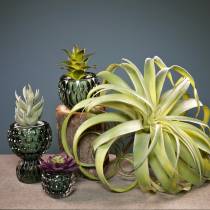 Tillandsia artificial to stick light green artificial plant 30cm
