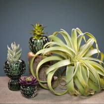 Product Tillandsia artificial to stick light green artificial plant 30cm