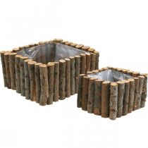 Product Plant bowl square natural birch branches 14.5/20cm set of 2
