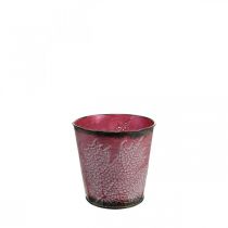 Product Planter with leaf decoration, metal vessel, autumn, plant pot wine red Ø10cm H10cm