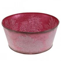 Product Plant bowl for autumn, metal container with leaf decoration, decorative pot wine red Ø25cm H11cm