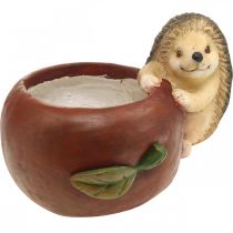 Product Planter, apple with hedgehog, autumn decoration, cachepot, ceramic Ø16cm H22cm W33cm