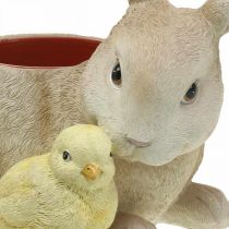 Easter decoration for planting, rabbit and chick, spring, plant pot H24cm L30cm