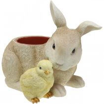 Easter decoration for planting, rabbit and chick, spring, plant pot H24cm L30cm