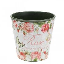 Product Planter, bucket for planting, planter with rose H13cm Ø13.5cm