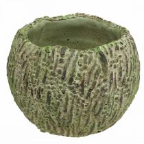 Product Planter concrete antique look green, brown planter Ø13cm