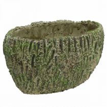 Product Planter concrete oval antique look green, brown 24×14×13cm