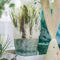 Product Grape Hyacinths in Bunch White 30cm 15 pcs