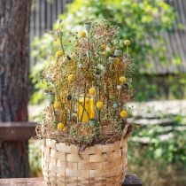 Product Craspedia dried flowers drumsticks yellow 70cm 10pcs