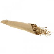 Product Poppy seed capsules Dried flowers Natural H40-60cm 100g