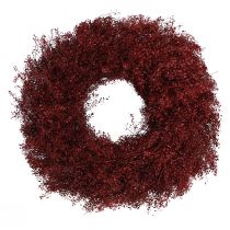 Product Dried Flowers Wreath Bordeaux Wreath Lepidium Ø33cm