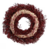 Product Decorative wreath, dried flowers, Bordeaux Lepidium, wall decoration, elegant, natural, Ø33cm