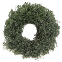 Product Dried flowers wreath green metallic lepidium decoration Ø33cm