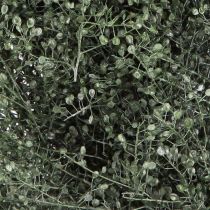 Product Dried flowers wreath green metallic lepidium decoration Ø33cm