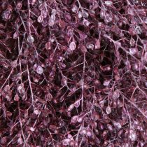 Product Decorative wreath, dried flowers, metallic purple Lepidium, wall wreath, Ø33cm, home accessory