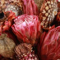 Product Dried Flowers Mix Pink Protea Artichoke Poppy 38cm 580g
