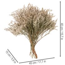 Product Natural Dried Statice Flowers 1kg Bundle