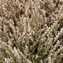 Product Natural Dried Statice Flowers 1kg Bundle