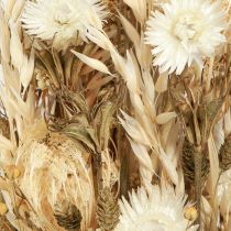 Product Dried flowers white gold with cap flowers Phalaris 30cm 200g