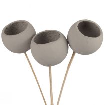 Product Dried flowers decoration bell cups on a stick grey 37cm 3 pcs