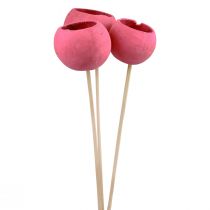 Product Dried flowers decoration bell cups on a stick pink 42cm 3 pcs