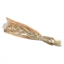 Product Dried flowers, millet decoration, Setaria (fox millet), 60g